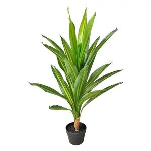 Dekorace umělá rostlina dracena v květináči - 25*25*90 cm 5PL0179 obraz