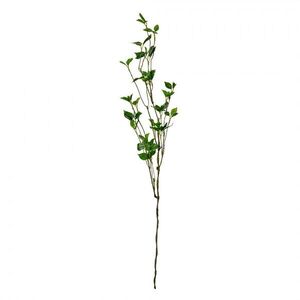 Dekorace hnědá větvička se zelenými lístky - 19*10*116 cm 5PL0183 obraz