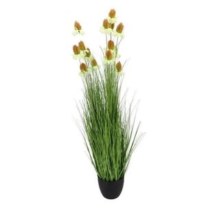 Dekorativní okrasná tráva s květy Cosmos v květináči – 120 cm 615071 obraz