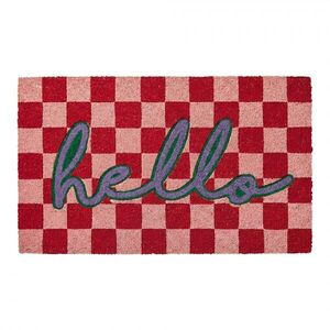 Barevná kokosová rohožka s nápisem Hello - 75*45*1 cm MC301 obraz