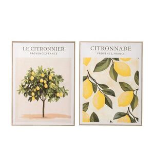Sada 2 obrazů Citronnier - 45*60*2, 5 cm 62313 obraz