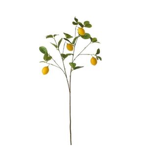 Dekorační umělá větvička s citróny Lemon Branch - 23*8*84 cm 64438 obraz