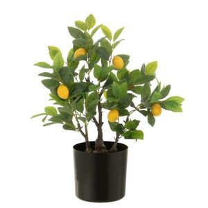 Dekorační umělá rostlina citrónovník v květináči Lemon Tree - 45*32*60 cm 54712 obraz