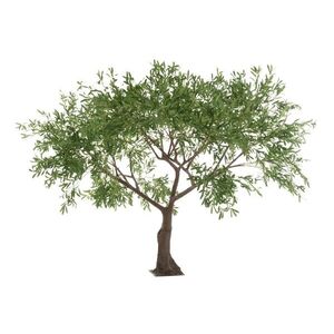 Velkolepý olivovník Olea Tree - 295*295*220 cm 22004 obraz