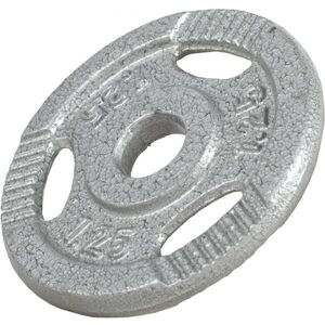Gorilla Sports Litinový zátěžový kotouč, stříbrná, 1, 25 kg obraz