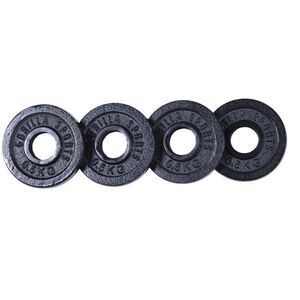 Gorilla Sports sada litinových kotoučů 2kg (4x0, 5kg) 30mm obraz