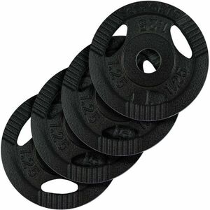 SCSports litina 5kg 31mm (4x1, 25kg) JG99714 závaží k činkám obraz