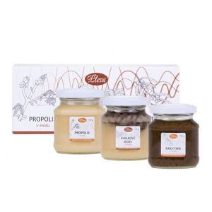 Dárková sada medů - propolis, rakytník a kakaové boby obraz