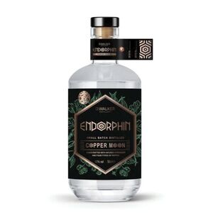 Gin v dárkovém balení COPPER MOON obraz