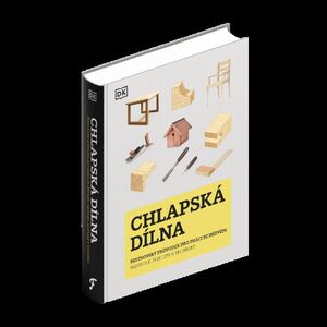 Chlapská dílna obraz