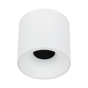 TK Lighting Bílé stropní LED svítidlo Blaze kulaté 118mm 30W CCT TK18161 obraz
