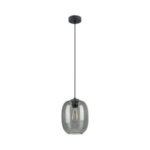 TK Lighting Černý závěsný lustr Elio s kouřovým stínidlem pro žárovku E27 TK5971 obraz