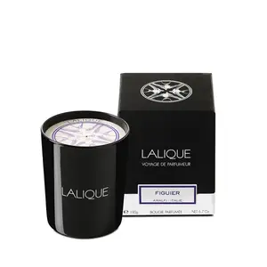 Lalique Vonná svíčka Amalfi, fík – Itálie, 190 g B40181 obraz