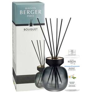 Maison Berger Paris Aroma difuzér Wood, černý + náplň Uklidňující pižmo 180 ml 7877 obraz