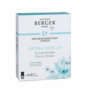 Maison Berger Paris Kapsle do Difuzéru Night & Day, Aroma Wake-up – Lesní vánek 8021 obraz