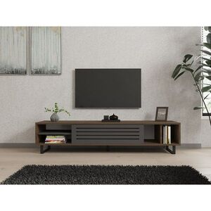 Televizní stolek Eray Walnut and Anthracite obraz
