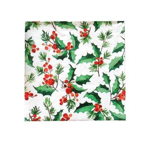 TORO UBROUSKY VÁNOČNÍ CESMÍNA 3VRSTVÉ 33X33CM obraz