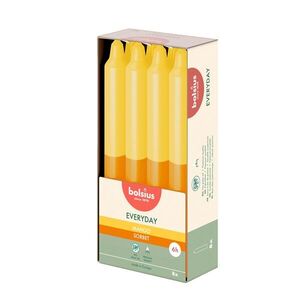 Bolsius SVÍČKA KÓNICKÁ VONNÁ MANGO 180X21MM, 8KS obraz