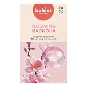 Bolsius VOSKY VONNÉ MAGNOLIE, SADA 6KS obraz