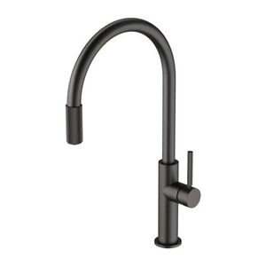 OMNIRES SWITCH dřezová baterie se sadou filtru D1, grafit SW9057-FD1GR obraz
