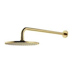 OMNIRES Sprchová hlavice SLIMLINE s ramenem, kartáčovaná mosaz WGSET1BSB obraz