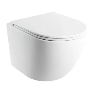 OMNIRES Závěsné WC OTTAWA SILENT POWER™ se sedátkem soft-close, 49 x 37 cm, matná bílá OTTAWASPMWBM obraz