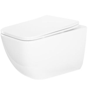 REA WC mísa bez splachovacího okruhu Dexter Tornado REA-C1278 obraz