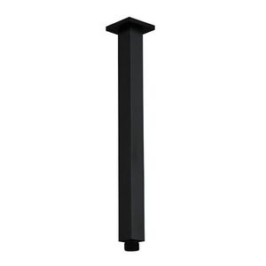 Laveo Kvadrato Výtok stropní sprchy 264 mm, černá NWQ_750K obraz