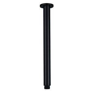 Laveo Rondo Výtok stropní sprchy 284 mm NWX_750O obraz