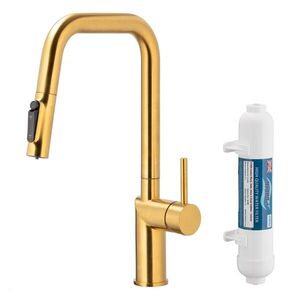 KFA Duero pure style pull-out bat. kuchyňská filtrující, broušené zlato + filtr hydro+ 6623-312-31 obraz