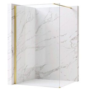 REA/S Sprchová zástěna Flexi Transparent / Gold 140 KPL-K99577 obraz