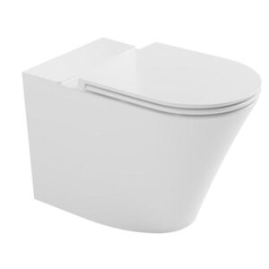 Bruckner FEIN WC kombi mísa, Rimless, 61x36cm, spodní/zadní odpad, bílá 201.424.4 obraz