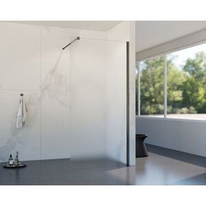 HOPA Walk-in sprchový kout LAGOS GRAFIT NEW 200 Barva rámu Grafit, Doplňky bez doplňku, Rozměr A 100, Rozměr C 200, Výplň Matné bezpečnostní sklo 8 mm BCLAGO10GFN2 obraz