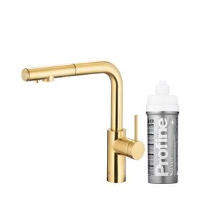KFA Duero pure basic pull-out, filtr. s otočnou výtokovou armaturou, PVD broušené světlé zlato + profine silver 6623-114-39 obraz