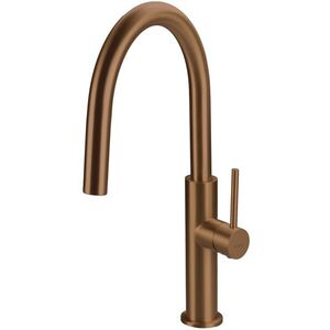 DEANTE Kuchyňská baterie Evora, broušený bronz BQJ_C62M obraz
