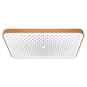 REA Obdélníková dešťová sprcha JS-032 Brushed Copper REA-P0397 obraz