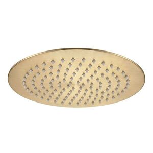REA Kulatá dešťová sprcha JS-P014BG 25cm Brush Gold REA-P8609 obraz