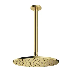 OMNIRES SLIMLINE dešťová hlavice se stropním ramenem, mosaz broušená WSSET1BSB obraz