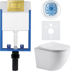 CERANO Kompletní WC set Profi/Cesso bílá lesklá WC tlačítko Classic/Zlatá pro zazdění 49x36 CER-002894 obraz