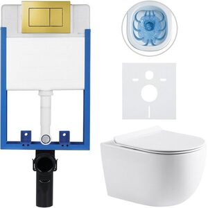 CERANO Kompletní WC set Profi/Felci bílá lesklá WC tlačítko Classic/Zlatá pro zazdění 52, 5x36 CER-028937 obraz