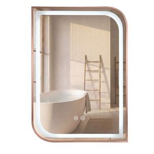 REA Zrcadlo LED ZONE 70x50 BRUSH ROSE GOLD HOM-00304 obraz