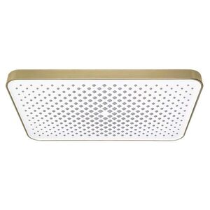 REA Obdélníková dešťová sprcha JS-032 Brushed Gold REA-P0396 obraz