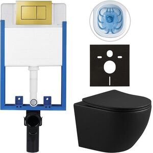 CERANO Kompletní WC set Profi/Cesso černá matná WC tlačítko Classic/Zlatá pro zazdění 49x36 CER-296329 obraz