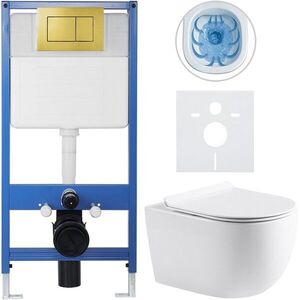 CERANO Kompletní WC set Profi/Felci bílá lesklá WC tlačítko Classic/Zlatá předstěnová instalace 52, 5x36 CER-318231 obraz