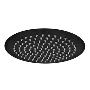 REA Kulatá dešťová sprcha JS-P014B 25cm Black REA-P8601 obraz