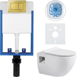 CERANO Kompletní WC set Profi/Dure bílá lesklá WC tlačítko Classic/Zlatá pro zazdění 51x35 CER-554226 obraz