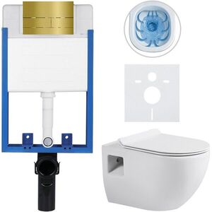 CERANO Kompletní WC set Profi/Dure bílá lesklá WC tlačítko Line/Zlatá pro zazdění 51x35 CER-8050BD84292 obraz