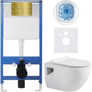CERANO Kompletní WC set Profi/Dure bílá lesklá WC tlačítko Line/Zlatá předstěnová instalace 51x35 CER-8050BD84293 obraz
