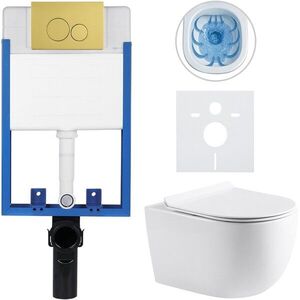 CERANO Kompletní WC set Profi/Felci bílá lesklá WC tlačítko Duo/Zlatá pro zazdění 52, 5x36 CER-8050BD84320 obraz