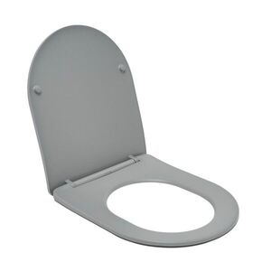 WC prkénko softclose SAT Infinitio šedá matná SATINFPLGRM SATINFPLGRM obraz